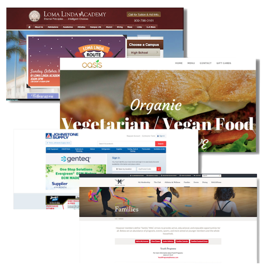 thumbnail of web developement work